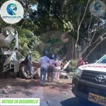 Camión involucrado en un accidente de tránsito en carretera.
