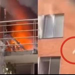 Perro salta desde un quinto piso durante un incendio en un conjunto residencial de Neiva.