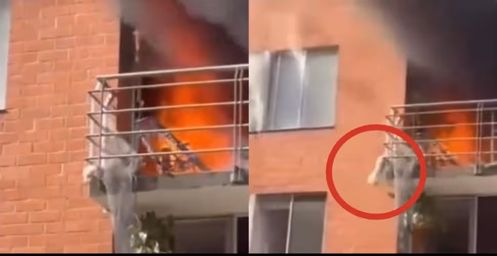 Perro salta desde un quinto piso durante un incendio en un conjunto residencial de Neiva.